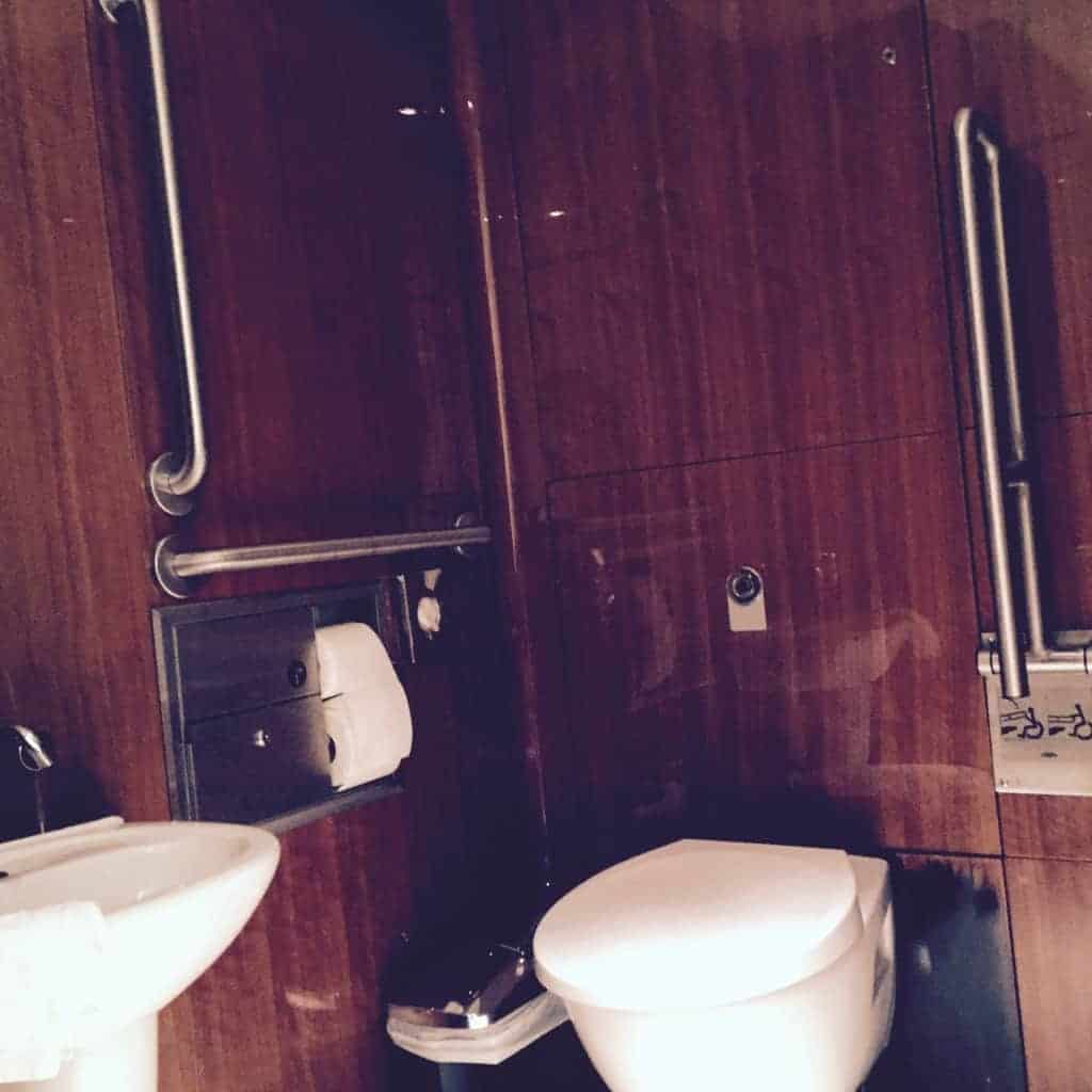 Mandarin Oriental Hotel's Disabled Toilet. Accessible after a Torturous Route Through 2 Sets of V. Heavy Doors - Never Heard of Automatic Openers??