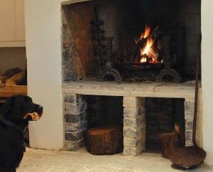 Cosy with resident dog - wonder if they'd let me take him for a walk?