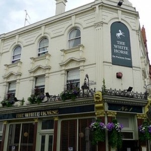 white horse
