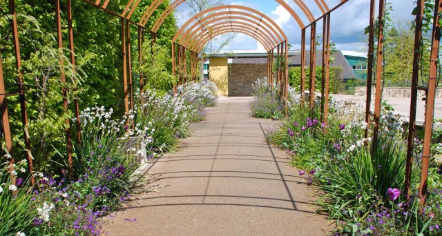 Horatios-garden-image-3