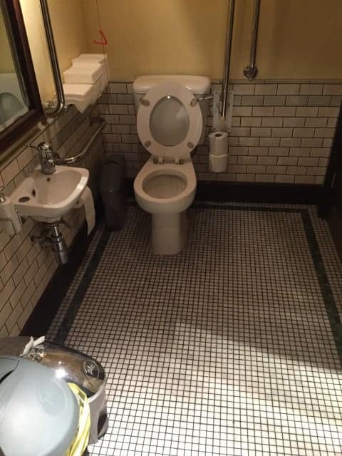 Les Deux Salons' disabled toilet