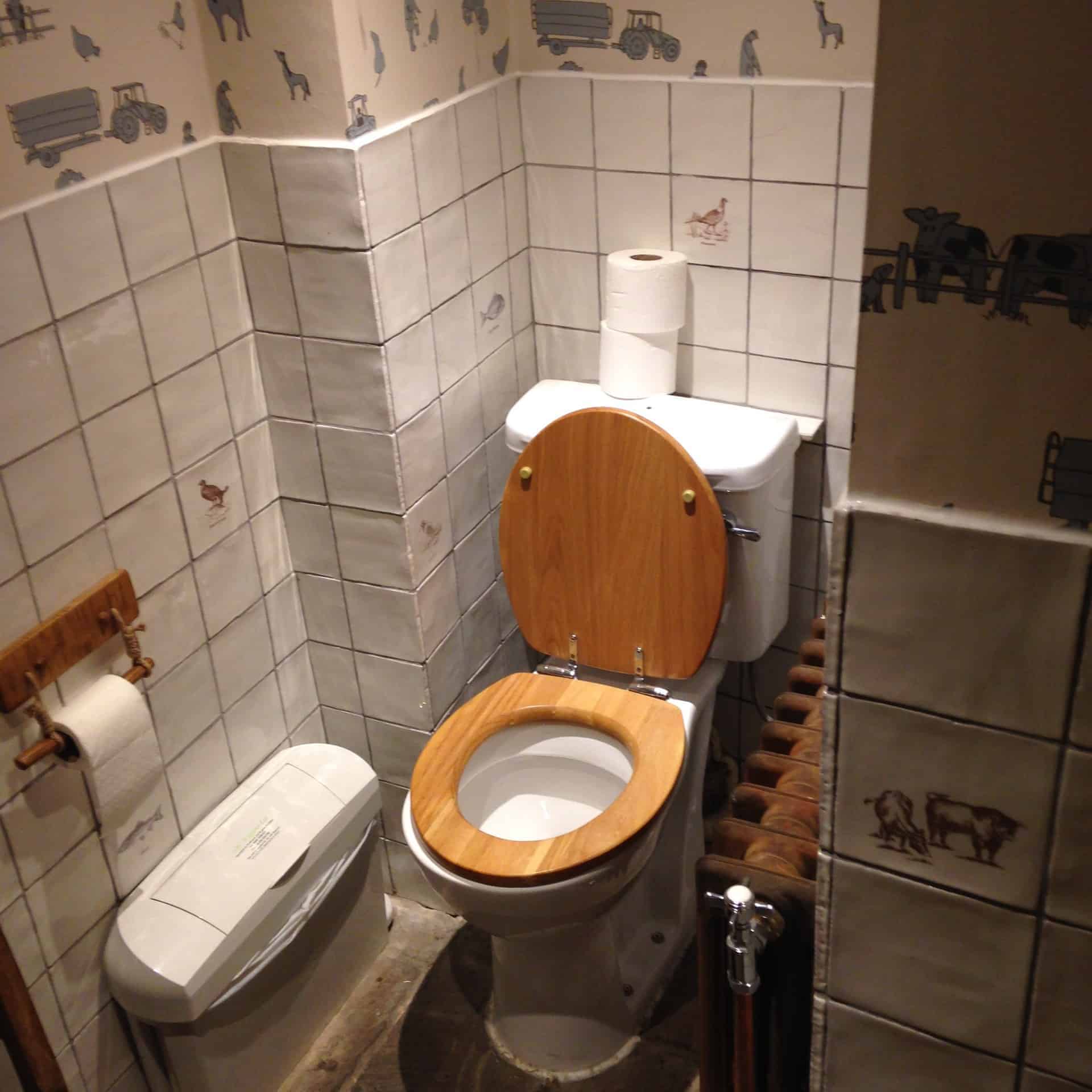 A Ludicrous (Disabled ) Loo at Rabbit - Spot The Reasons Why