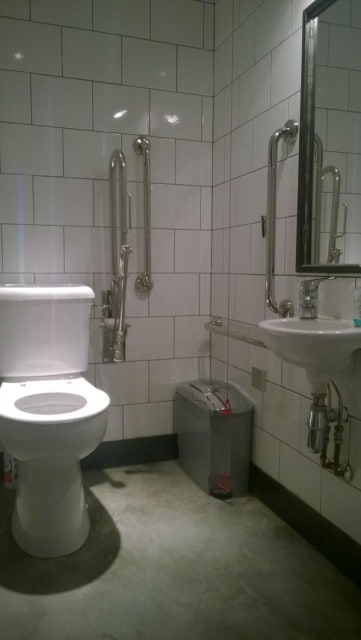 LEON's Disabled Loo Appears Correct But Hard to Tell if There's a Bar on Other Side. Looks Promising Though.