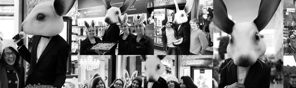 Hotel Du Chocolat - Cafe, Bars are Open for an Extra Fix - Staff are Helpful & Rabbit Like!