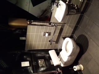 Large toilet white basin & WC Dark walls silver bars
